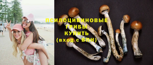 индика Абинск