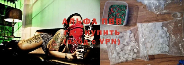 индика Абинск