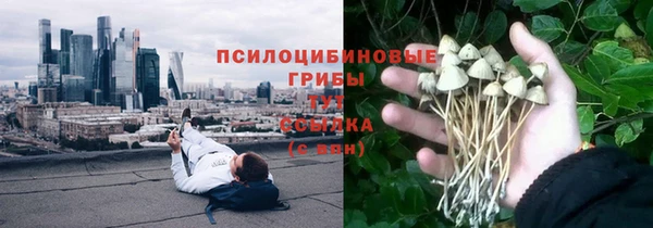 индика Абинск