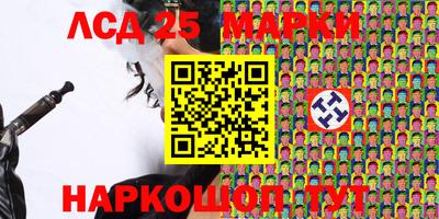 гашик Моздок