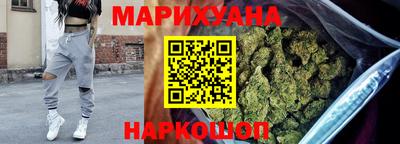 гашик Моздок