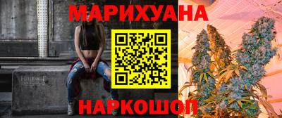 гашик Моздок