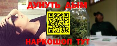 гашик Моздок