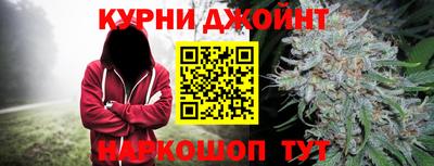 гашик Моздок
