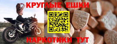 гашик Моздок