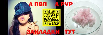 гашик Моздок