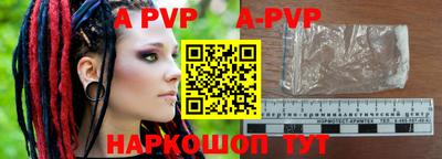гашик Моздок