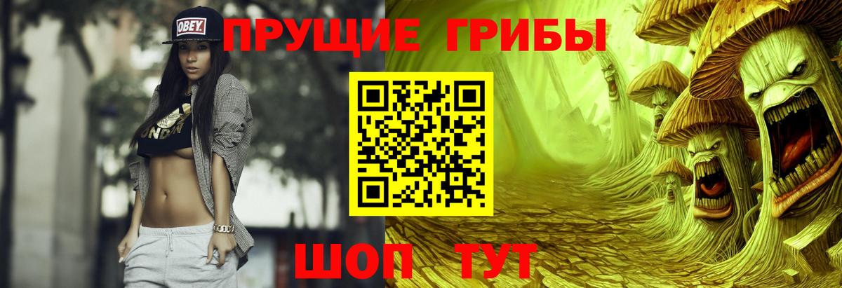 Псилоцибиновые грибы GOLDEN TEACHER  Псилоцибиновые грибы GOLDEN TEACHER  Вход с VPN  Фролово 